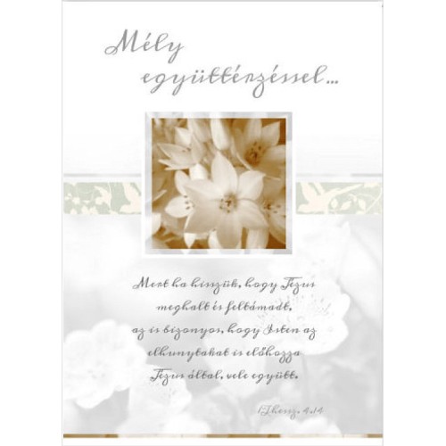 Borítékos képeslap - Mély együttérzéssel  (virág)
