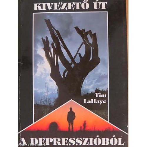 Kivezető út a depresszióból - Tim LaHaye