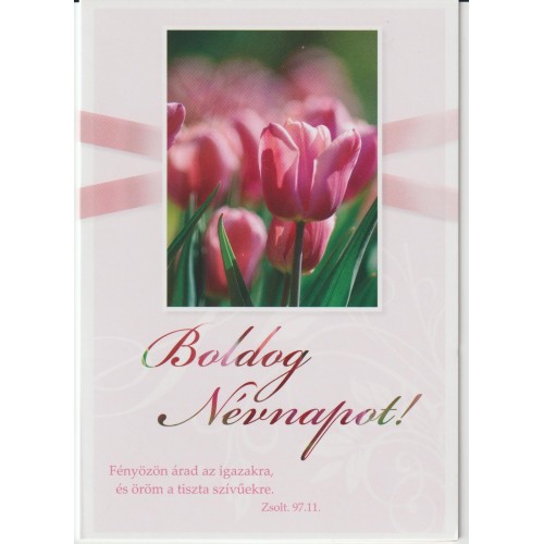 Borítékos képeslap: Boldog Névnapot !  (tulipánok)